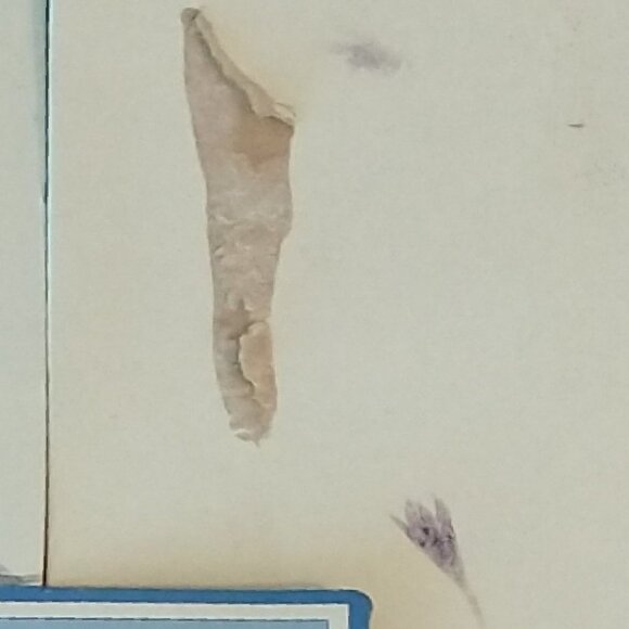 Mattel Blushing Bride Collector Barbie Doll💍 - Picture 6 of 8